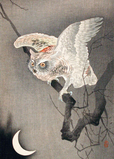 Plakat Sowa na gałęzi Ohara Koson japoński drzeworyt