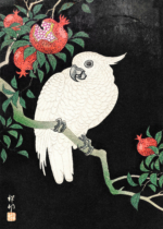 Plakat Kakadu białoczuby Ohara Koson japoński drzeworyt