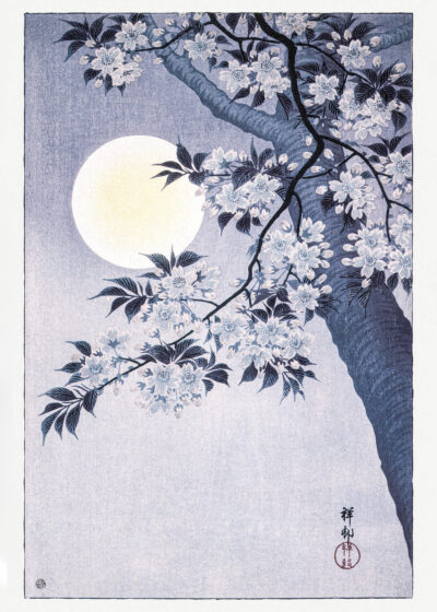 Plakat Kwitnąca wiśnia w świetle księżyca Ohara Koson