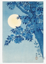 Plakat Kwitnąca wiśnia w świetle księżyca Ohara Koson