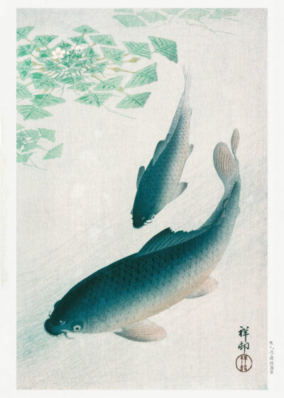 Plakat Karpie koi nishiki-goi wśród wodnych roślin Ohara Koson japoński drzeworyt