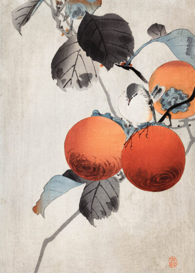 Plakat Persymony i ptak Ohara Koson japoński drzeworyt
