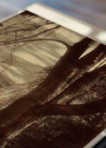 Zbliżenie na detale plakatu: Eugène Atget Świątynia Miłości Pałac Wersalski Paryż