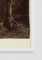 Zbliżenie na detale plakatu oprawionego w drewnianą białą ramkę od Plakatello®: Eugène Atget Świątynia Miłości Pałac Wersalski Paryż