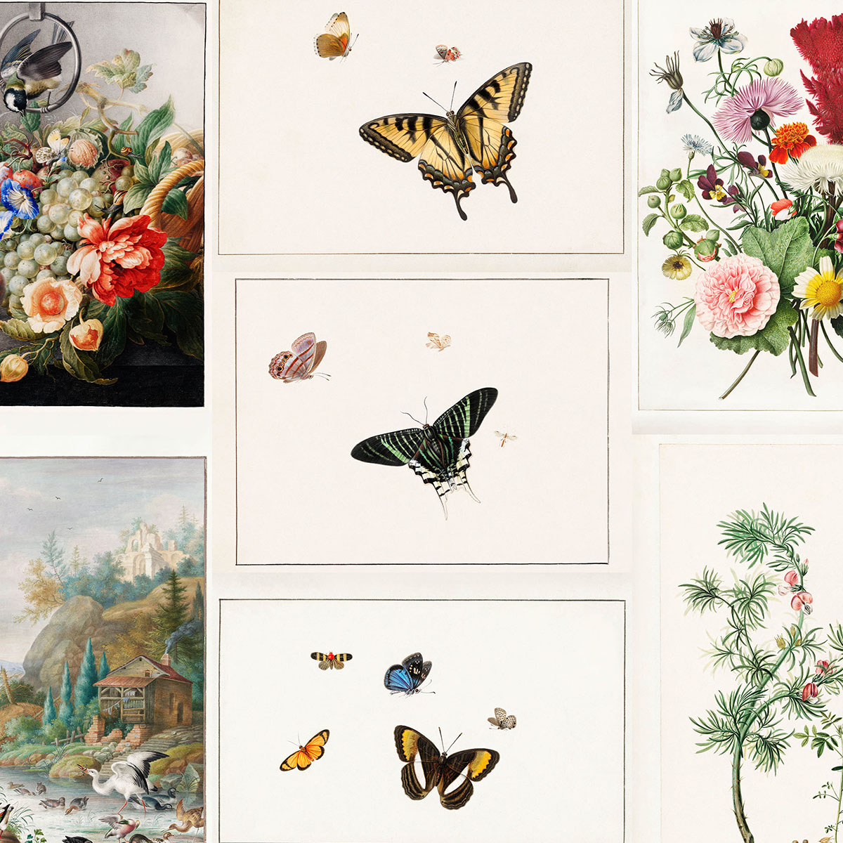 Plakaty Herman Henstenburgh - Barokowy mikroświat XVIII-wiecznej Holandii